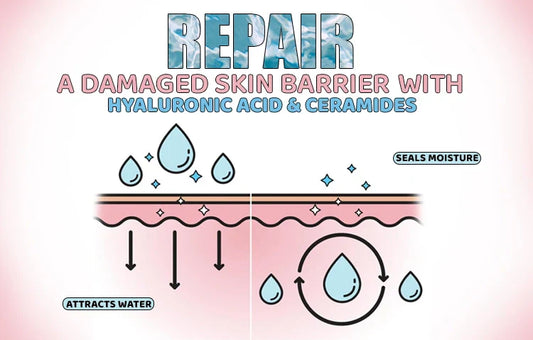 Repair Your Skin Barrier with Hyaluronic Acid & Ceramides